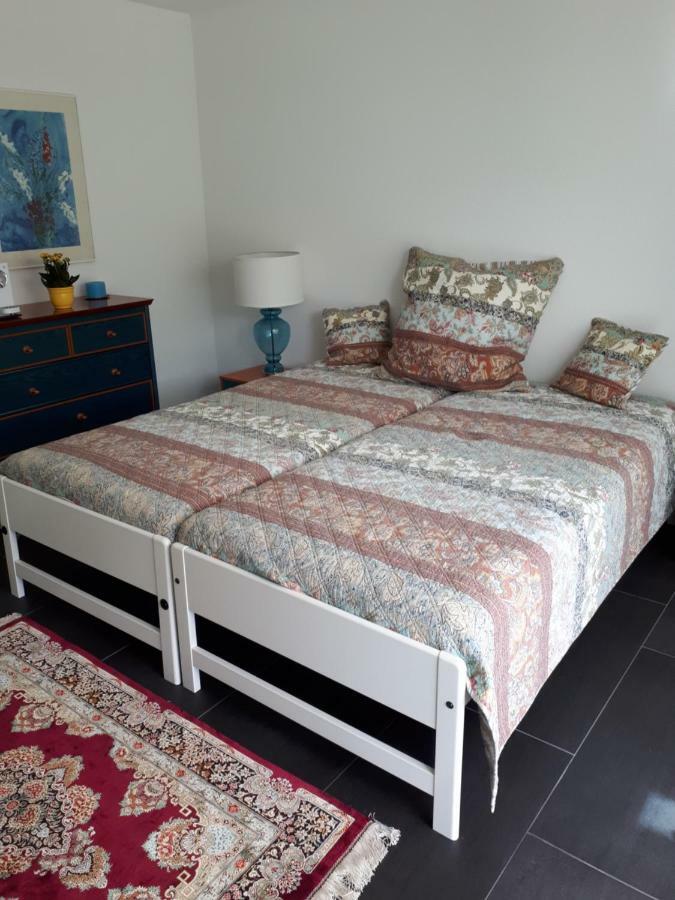 Bad Saeckingen - Sie Werden Sich Hier Wohl Fuehlen Apartment Ngoại thất bức ảnh