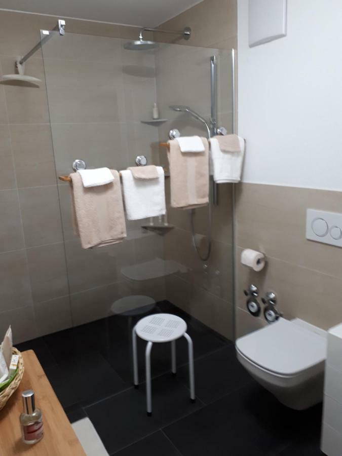 Bad Saeckingen - Sie Werden Sich Hier Wohl Fuehlen Apartment Ngoại thất bức ảnh